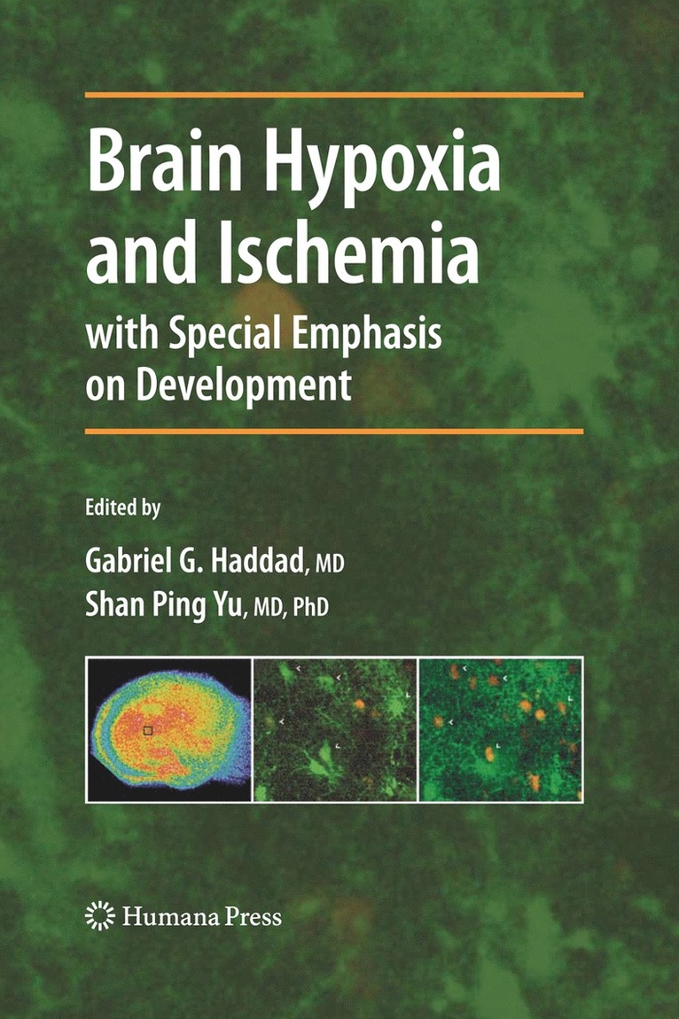 Brain Hypoxia and Ischemia 1