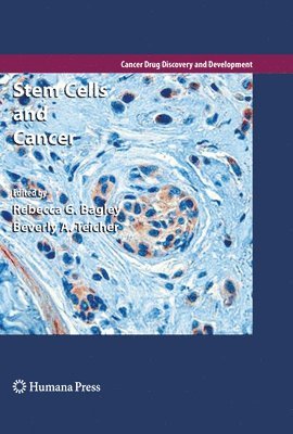 Stem Cells and Cancer 1