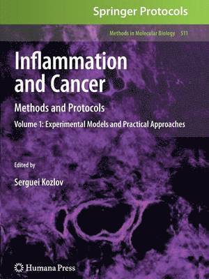 bokomslag Inflammation and Cancer