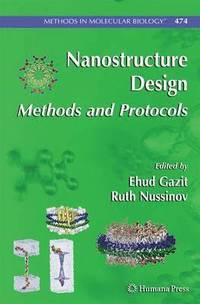 bokomslag Nanostructure Design