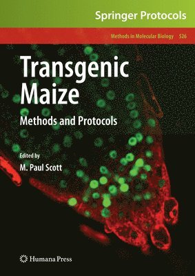 bokomslag Transgenic Maize