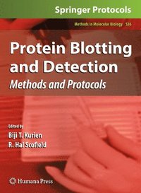 bokomslag Protein Blotting and Detection