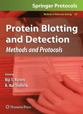 Biji T. Kurien, R. Hal Scofield - Protein Blotting and Detection, Häftad