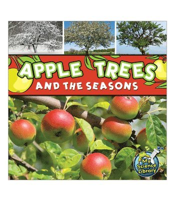 Apple Trees and the Seasons 1