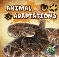 bokomslag Lundgren, J: Animal Adaptations