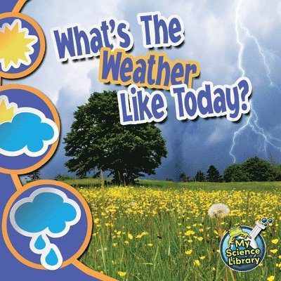 Conrad J. Storad - What's The Weather Like Today?, Häftad