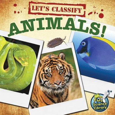 Let's Classify Animals! 1