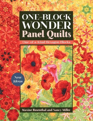 One-Block Wonder Panel Quilts 1