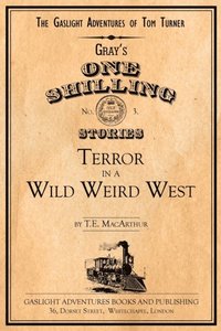 bokomslag Terror in a Wild Weird West