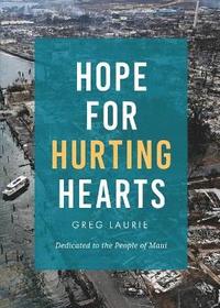 bokomslag Hope for Hurting Hearts
