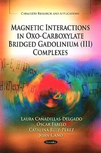 bokomslag Magnetic Interactions in Oxo-Carboxylate Bridged Gadolinium (III) Complexes