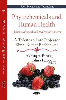 bokomslag Phytochemicals & Human Health