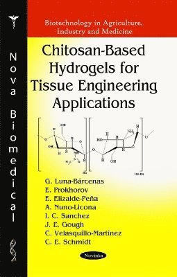 bokomslag Chitosan-Based Hydrogels for Tissue Engineering Applications