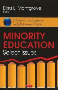 bokomslag Minority Education