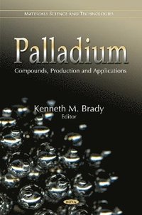 bokomslag Palladium