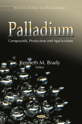 bokomslag Palladium