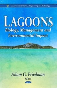 bokomslag Lagoons