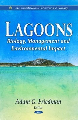 bokomslag Lagoons