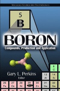 bokomslag Boron