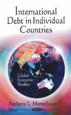 bokomslag International Debt in Individual Countries