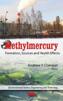 bokomslag Methylmercury
