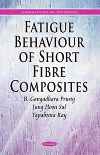 bokomslag Fatigue & Fracture of Short Fibre Composites Exposed to Extreme Temperatures