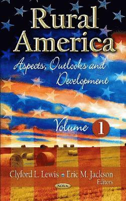 bokomslag Rural America