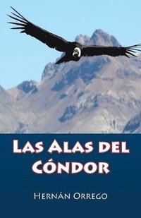 bokomslag Alas Del Cóndor