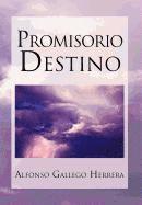 bokomslag Promisorio Destino