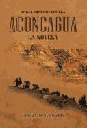 bokomslag Aconcagua