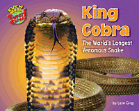 bokomslag King Cobra: The World's Longest Venomous Snake