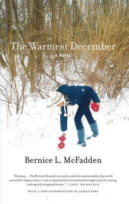 The Warmest December 1