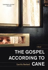 bokomslag The Gospel According to Cane