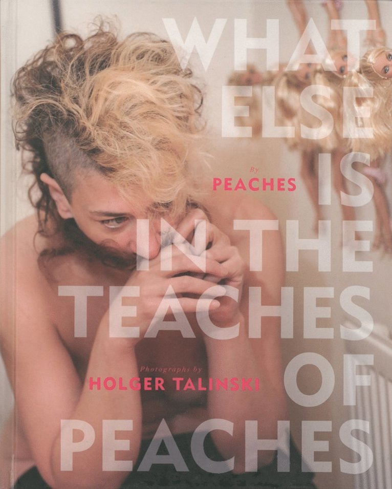 Peaches, Holger Talinski - What Else is in the Teaches of Peaches, Inbunden