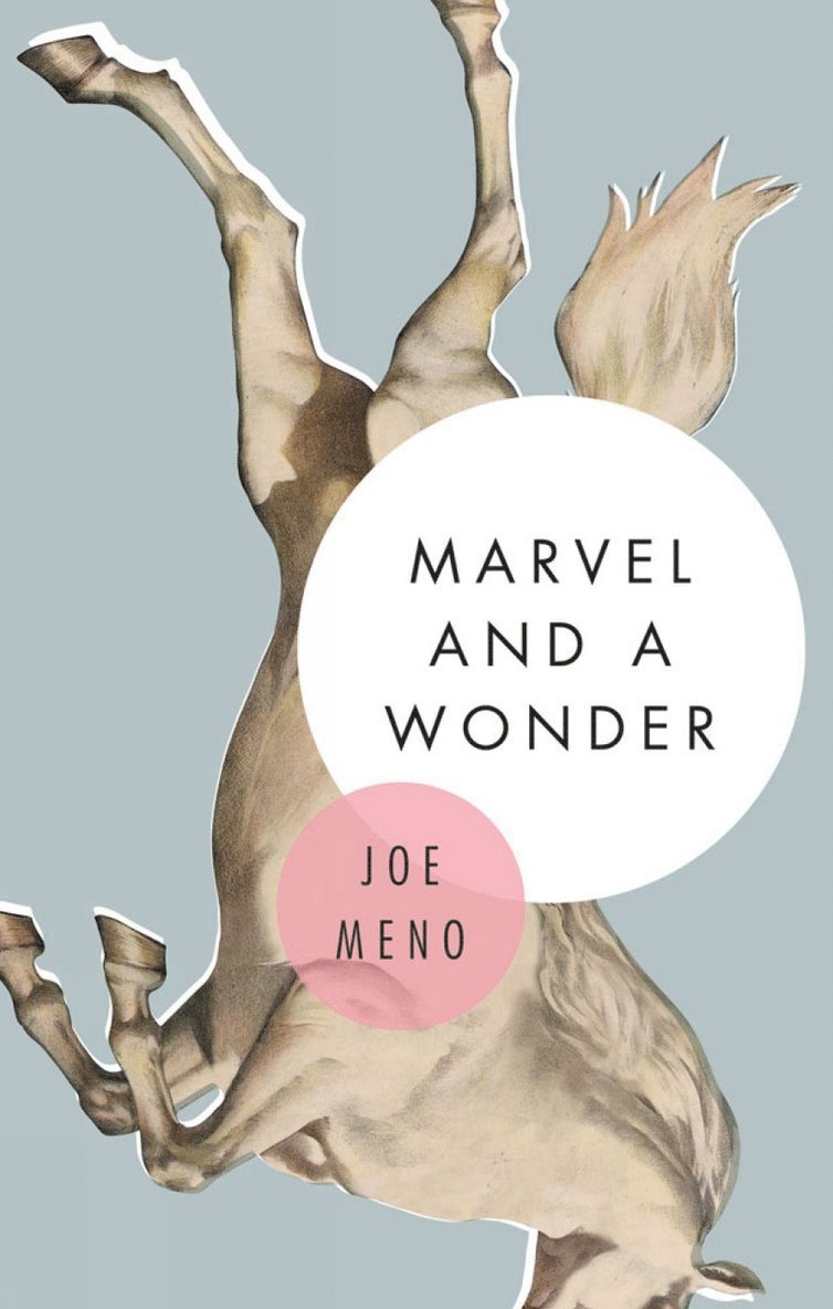 Marvel and a Wonder