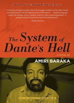 bokomslag The System Of Dante's Hell