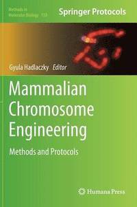 bokomslag Mammalian Chromosome Engineering