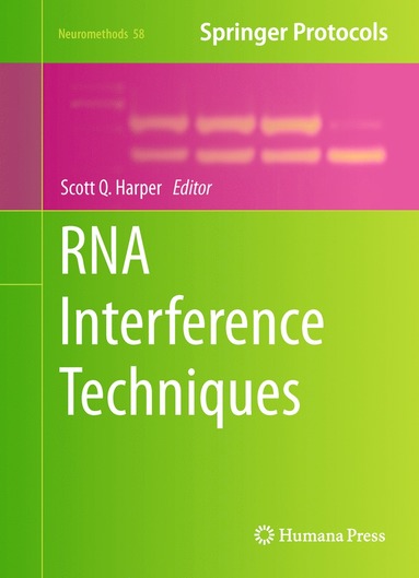 bokomslag RNA Interference Techniques