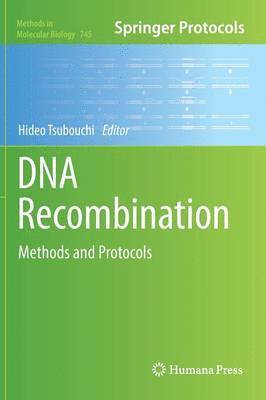 bokomslag DNA Recombination