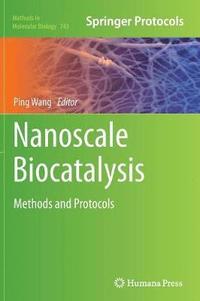 bokomslag Nanoscale Biocatalysis