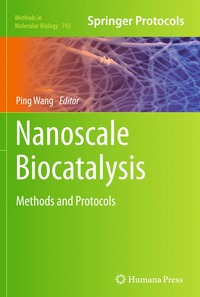 bokomslag Nanoscale Biocatalysis