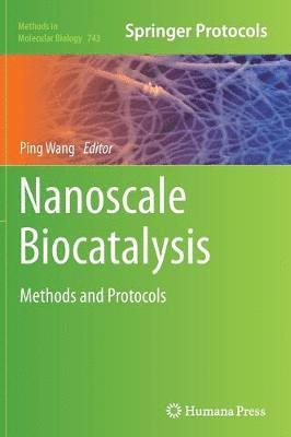 Nanoscale Biocatalysis 1