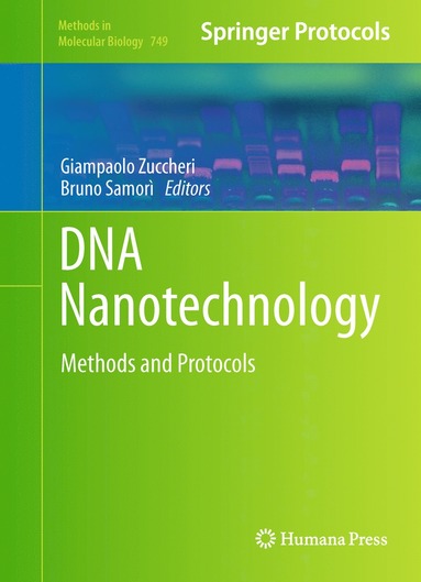 bokomslag DNA Nanotechnology