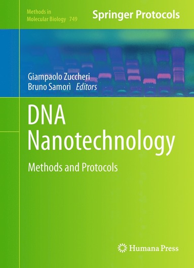 bokomslag DNA Nanotechnology