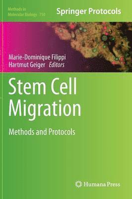 Marie-Dominique Filippi, Hartmut Geiger - Stem Cell Migration, Inbunden