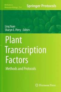 bokomslag Plant Transcription Factors