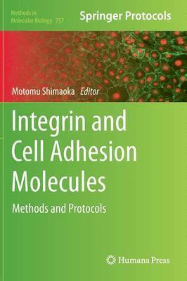 Integrin and Cell Adhesion Molecules