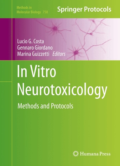 Lucio G. Costa, Gennaro Giordano, Marina Guizzetti - In Vitro Neurotoxicology, Inbunden