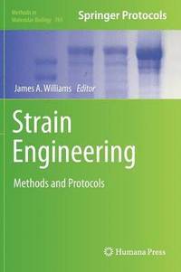 bokomslag Strain Engineering