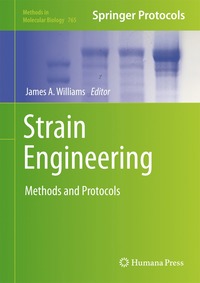 bokomslag Strain Engineering